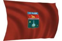 sflag