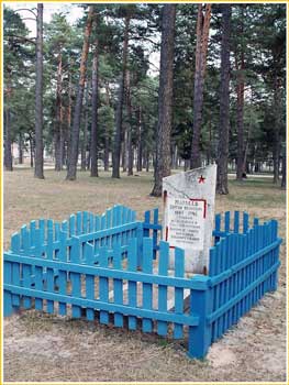 Памятник партизану С.И. МАТВЕЕВУ