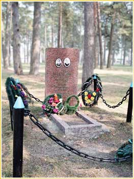 Памятник на могиле партизана Н.М. НЕВДУБСКОГО